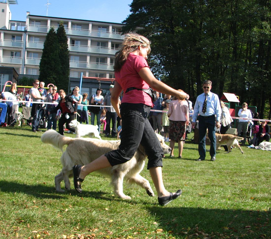 Snímek 051a
