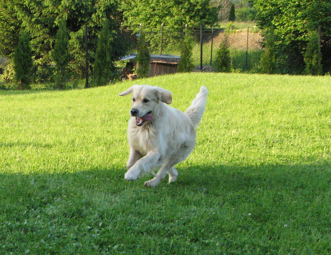 Snímek 061