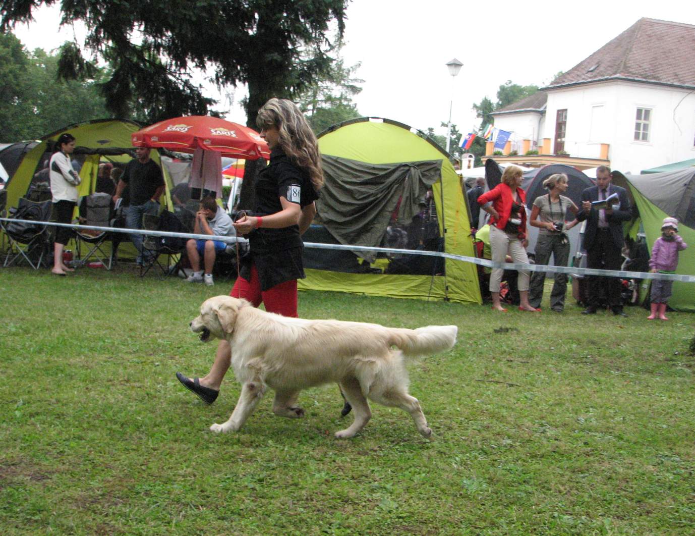 Snímek 009