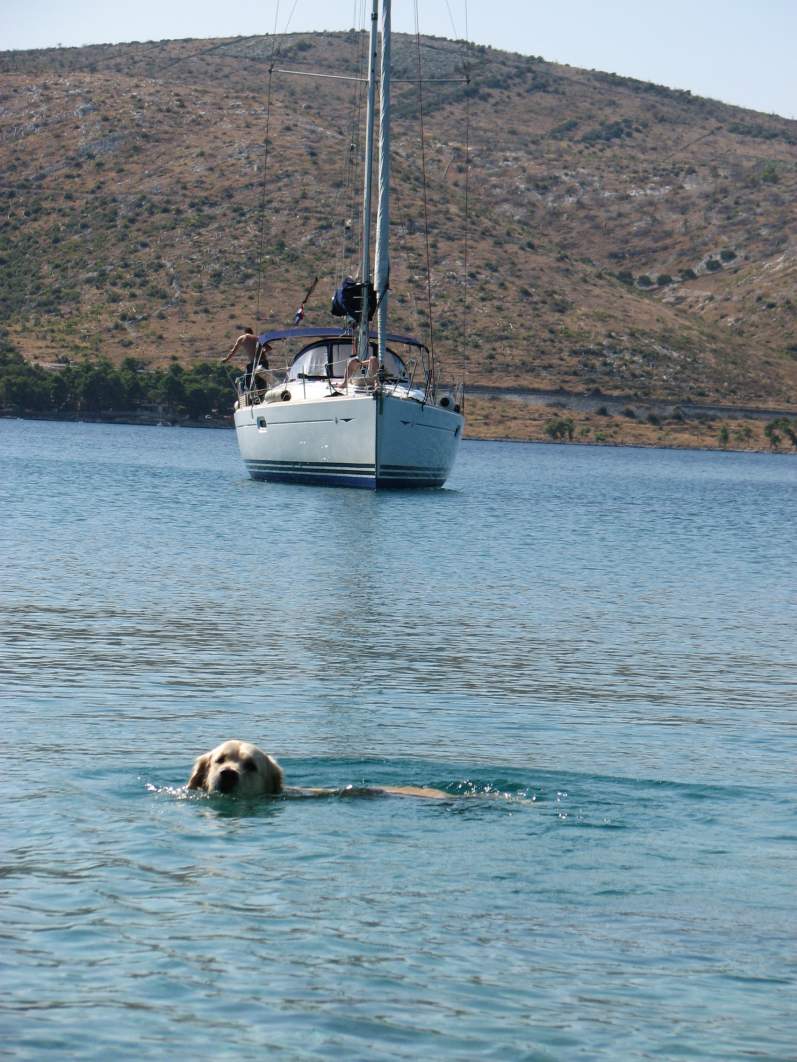 Snímek 110