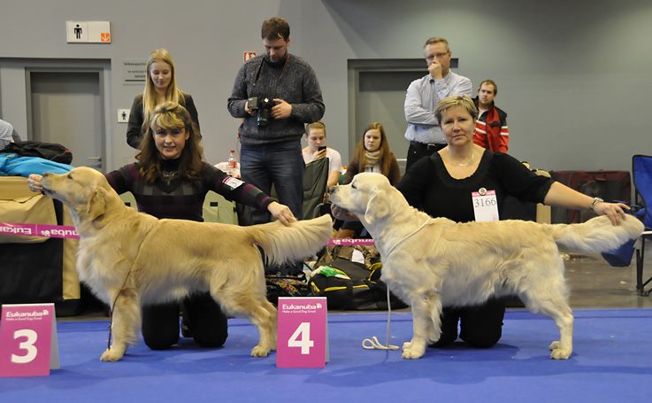 2 Buddy +Áres  - foto od Evy Hubíkové