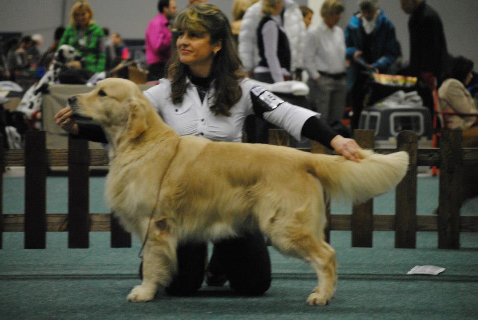 MVP Nitra 23. a 24.2 2013 Buddy Godd Augury