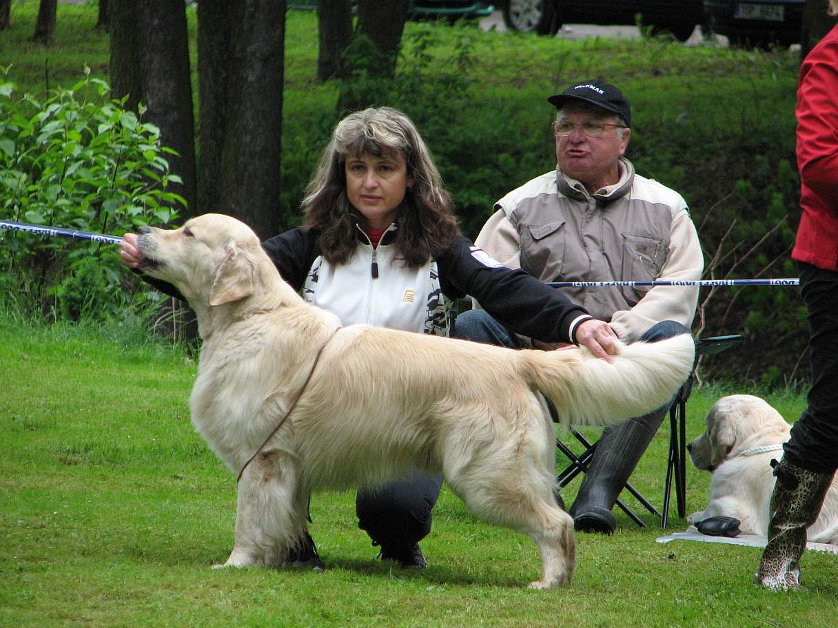 Snímek 463