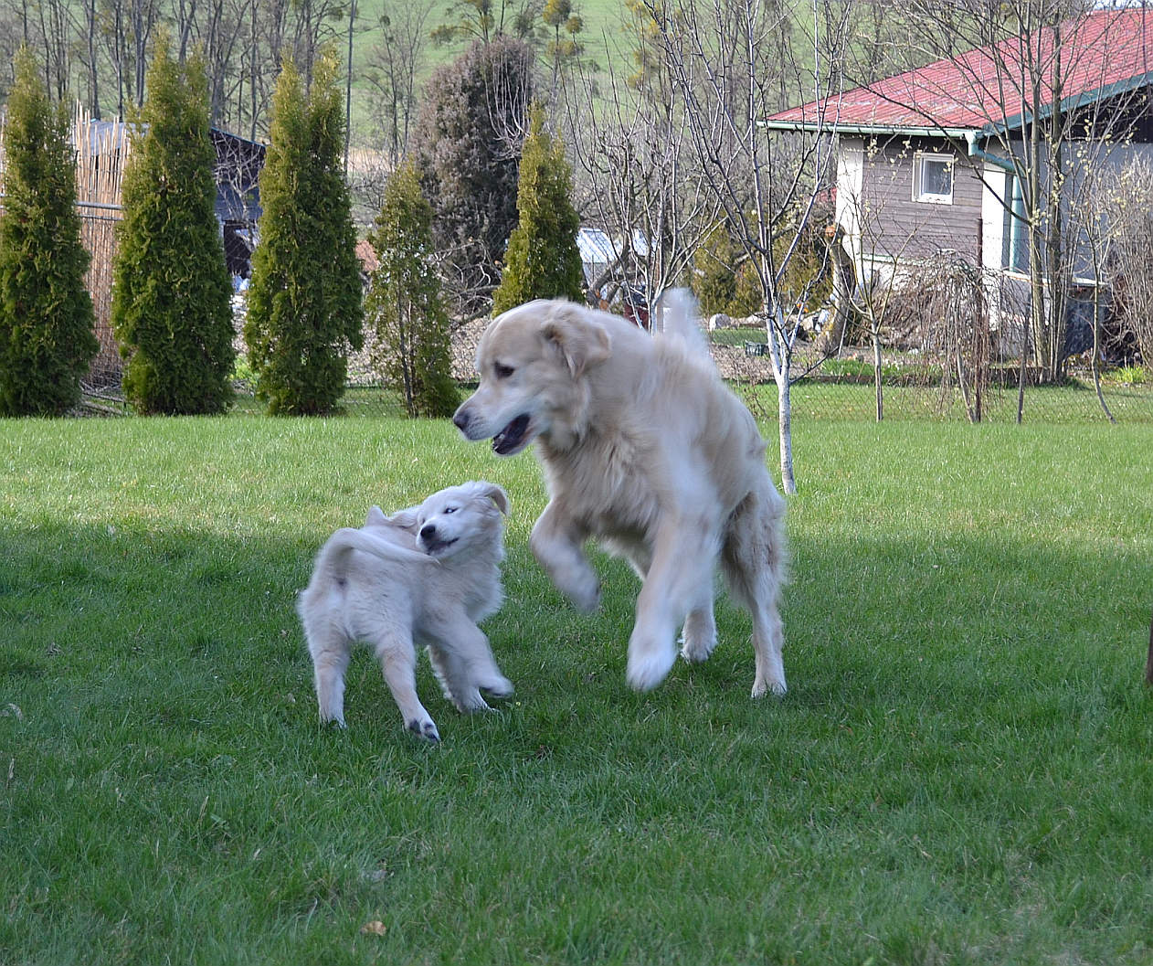 DSC_0576