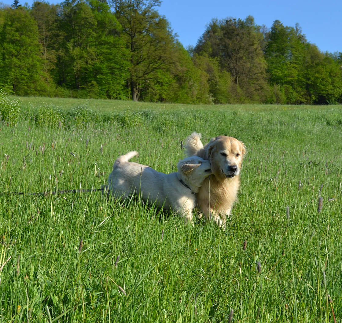DSC_0087