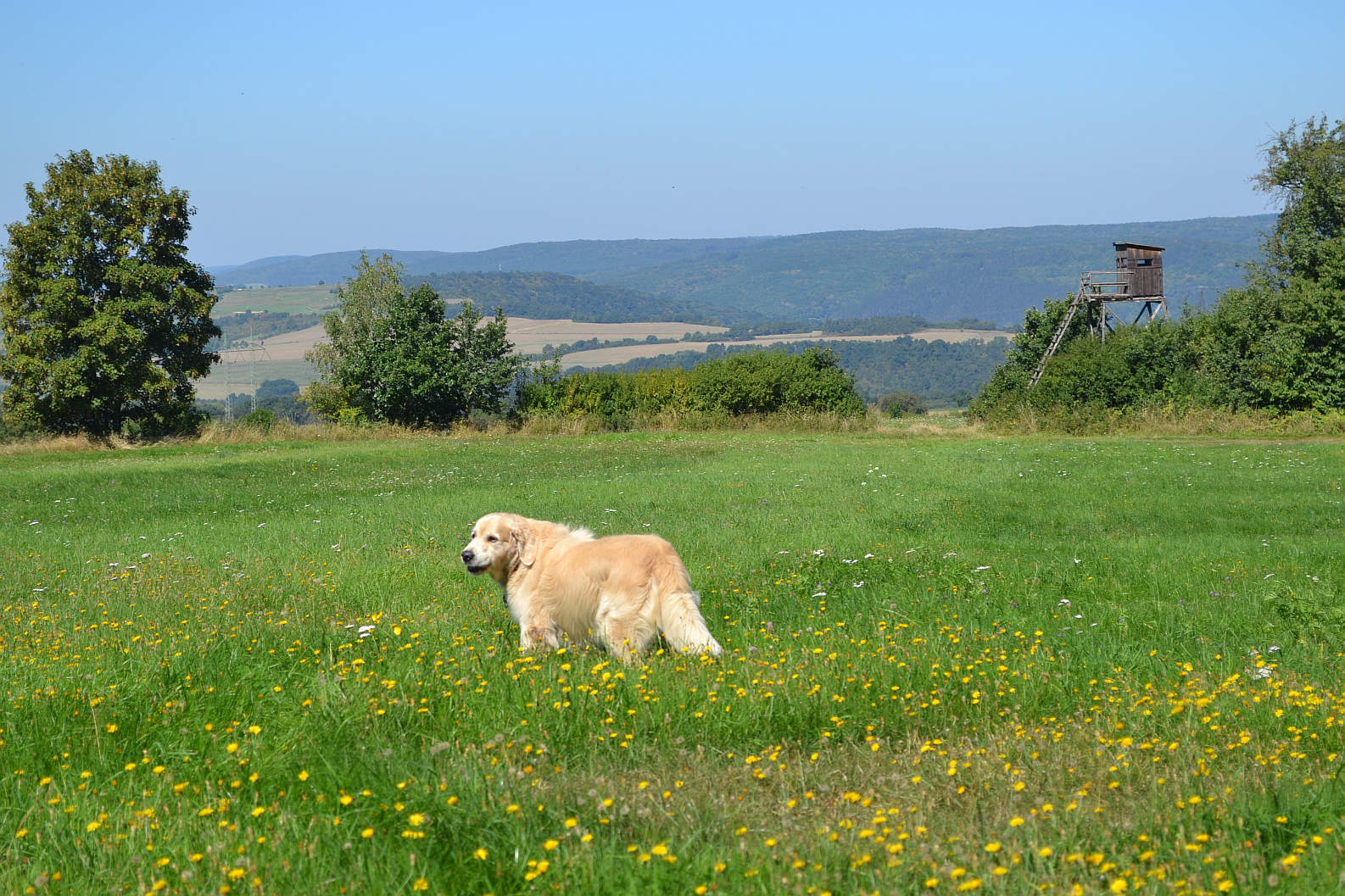 DSC_0536