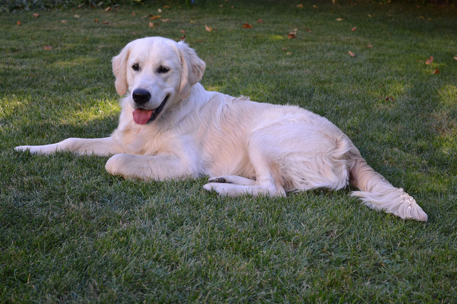 DSC_0580