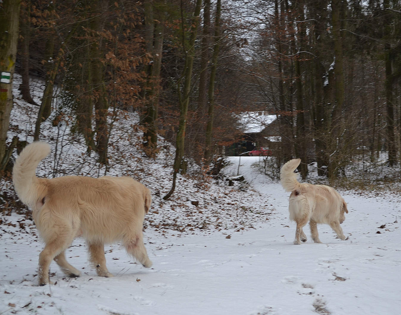 DSC_0780