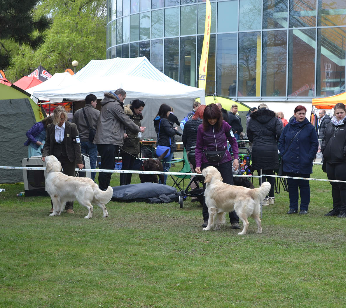 DSC_0259
