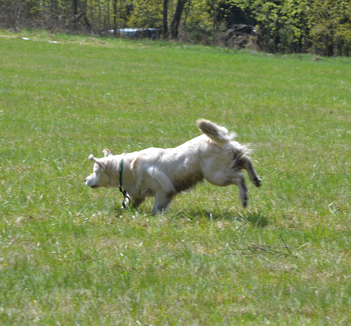 DSC_0490