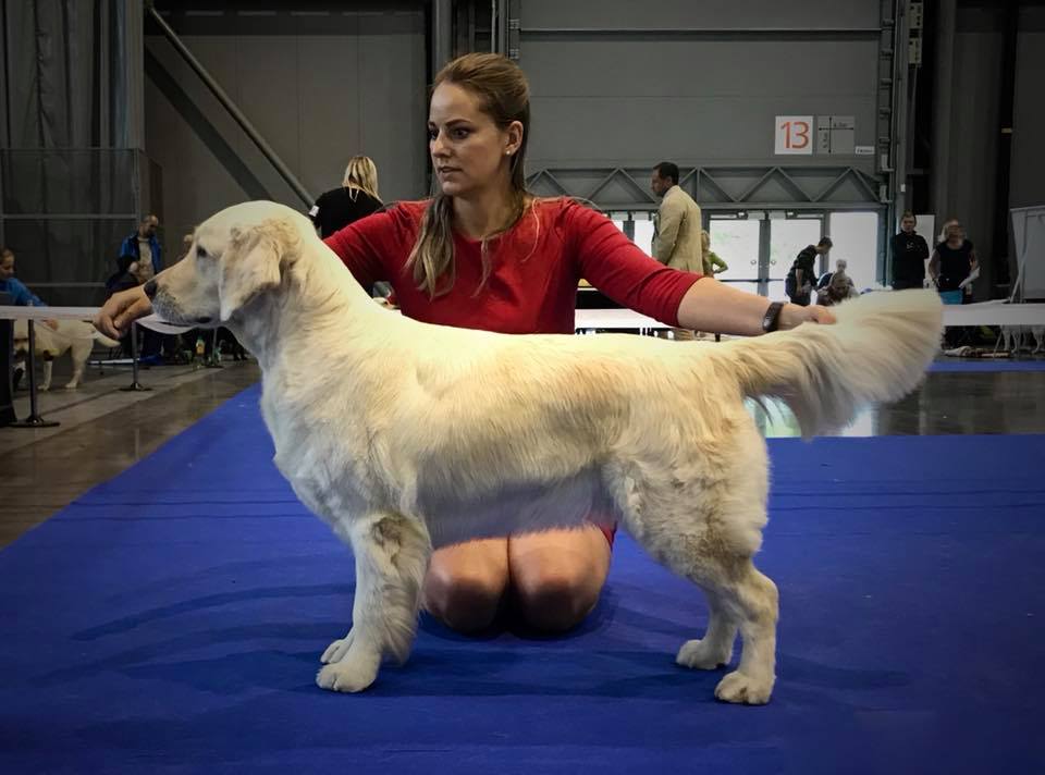 Bubble Eli's Pride1 , Intercanis Brno, V1, CAC, Res. CACIB
