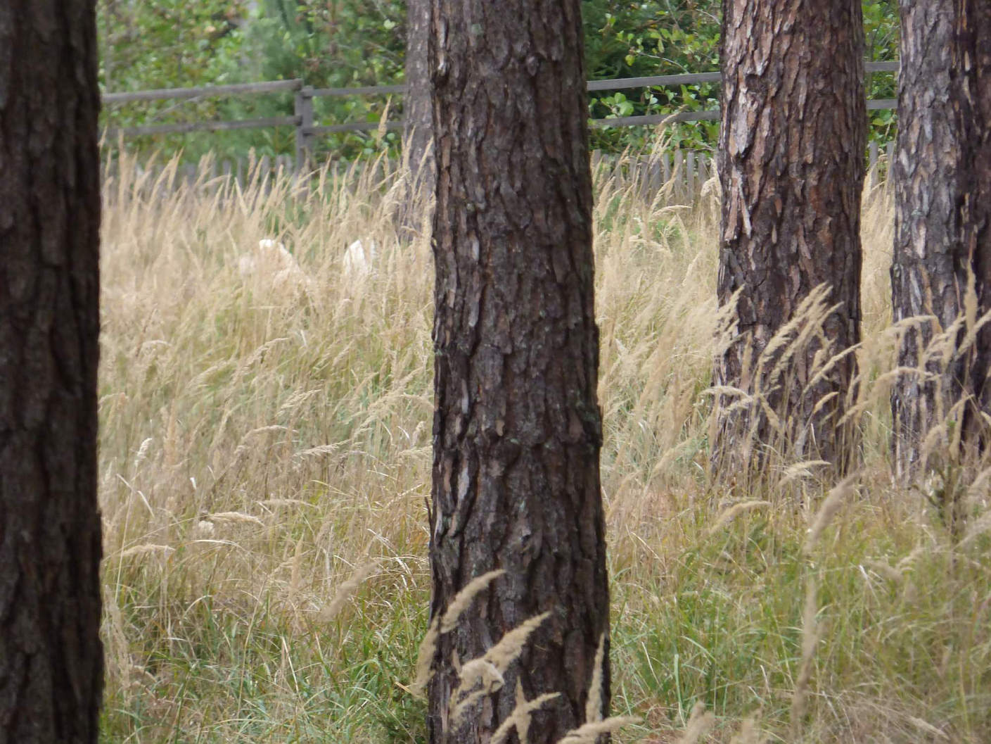 P1250563