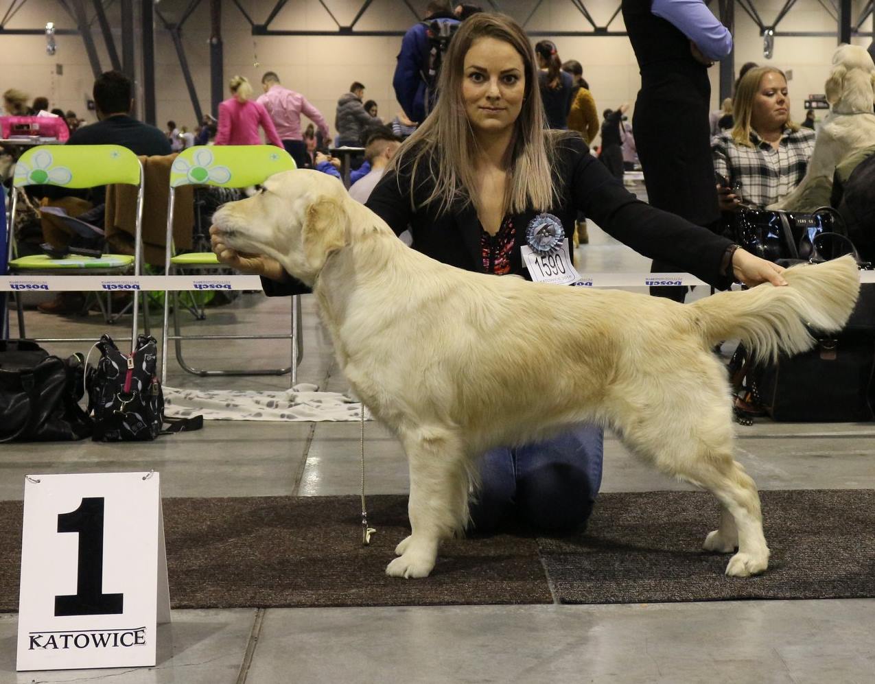 IMG_3  1 Bubble Eli's Pride, MVP Katowice 2018