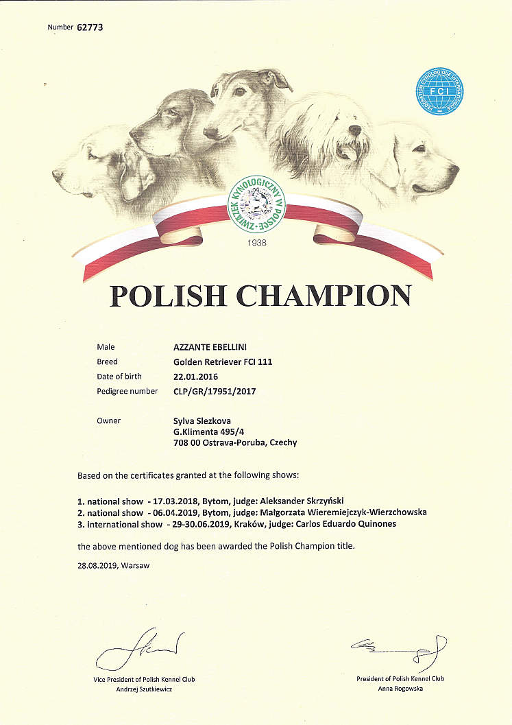 Polský šampión - diplom