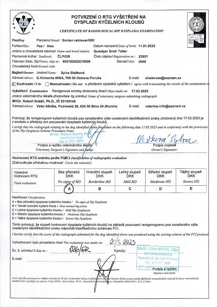 DKK - Questyer Sneh Tatier - RTG (2)