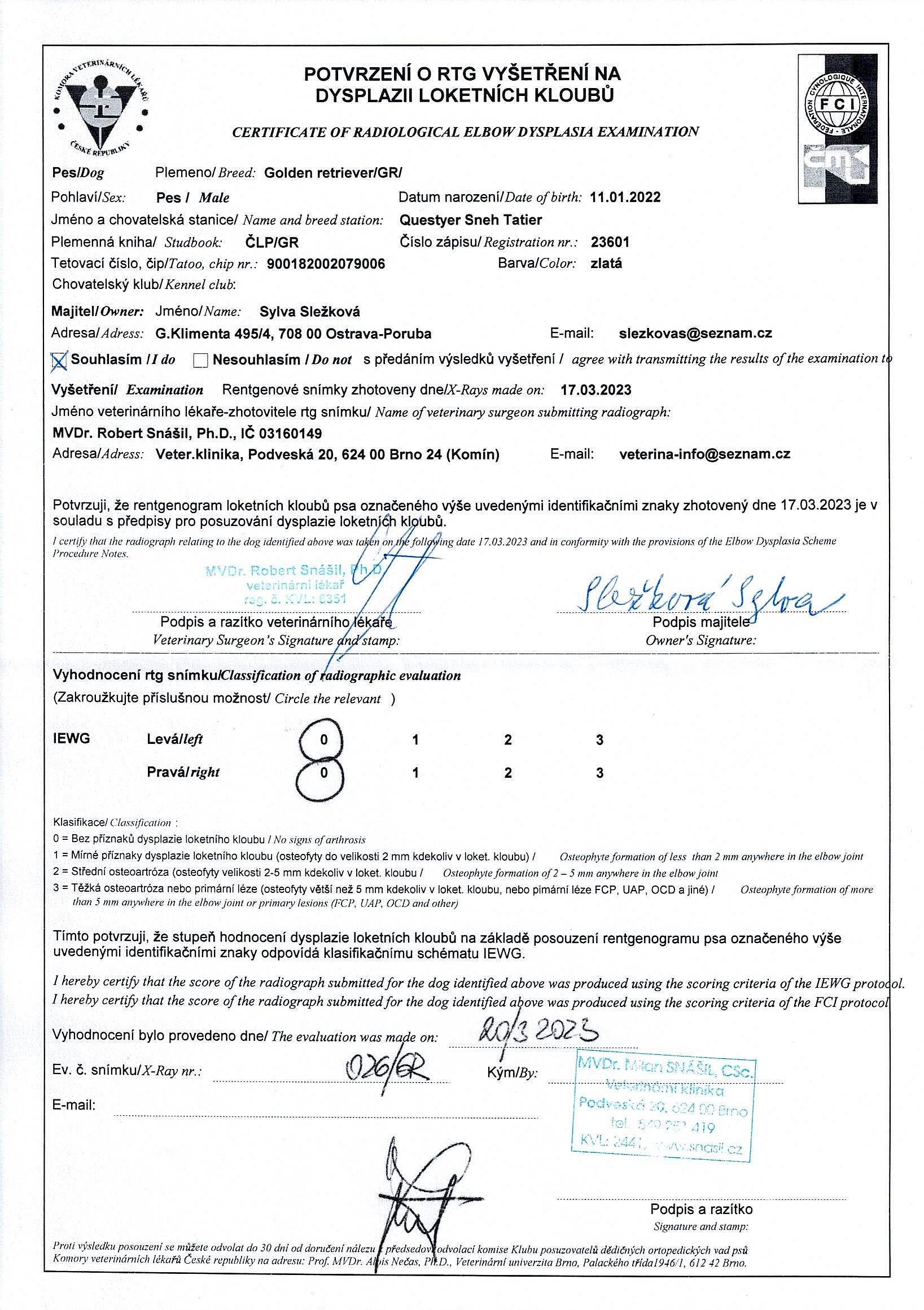 DLK - Questyer Sneh Tatier - RTG