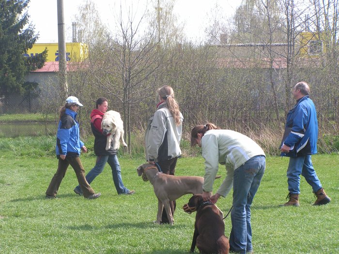 6-4-2008-zkousky-kj-brno-016.jpg