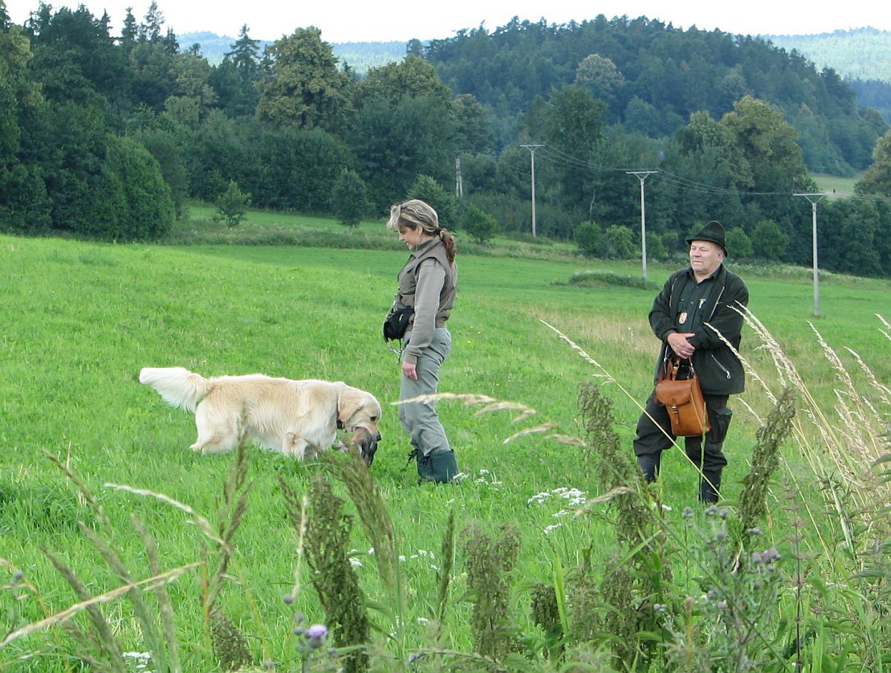 červen 2011 319a