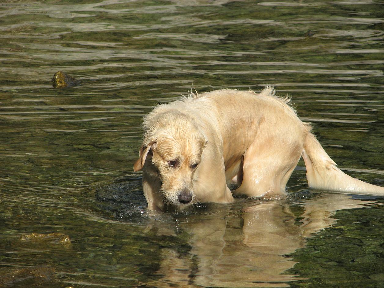 chorvatsko 2011 666a